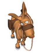 Donkey