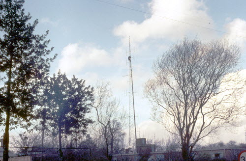 Cheveley 1977