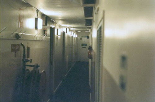 Main Corridor P7/13