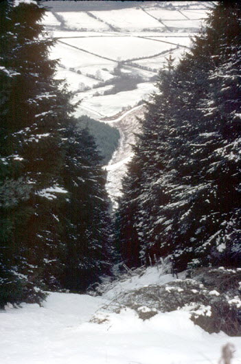 P4/8 PYF HillSide