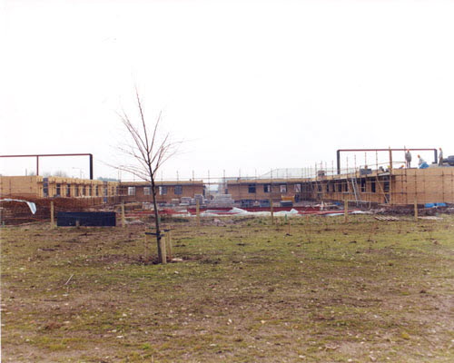 Shell- Rear